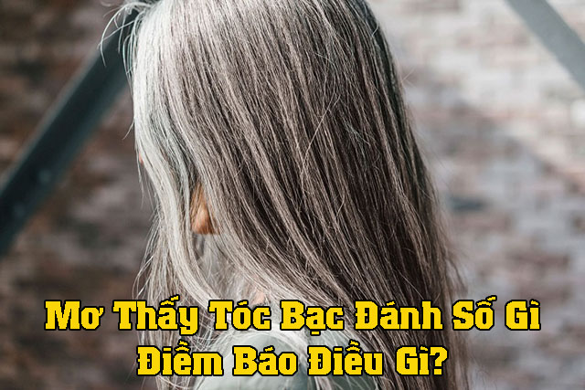 mơ thấy tóc bạc đánh số gì?