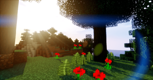 shader