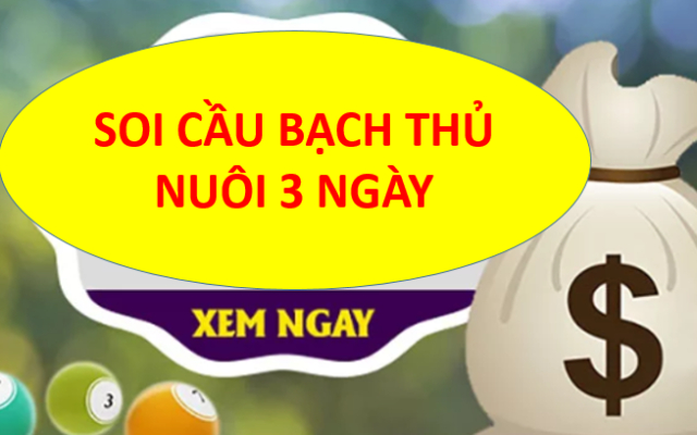 Cách soi cầu bạch thủ lô miền Bắc nuôi 3 ngày