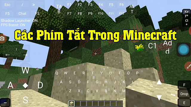 Các phím tắt trong Minecraft