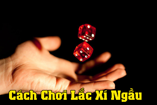 Cách chơi game lắc Xí ngầu