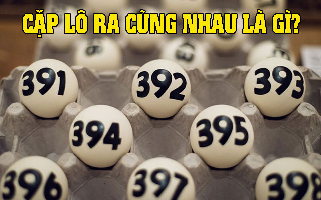 Cặp lô ra cùng nhau