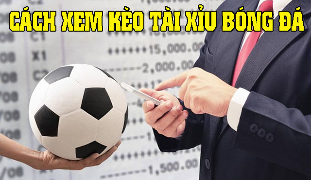 Cách xem kèo tài xỉu bóng đá