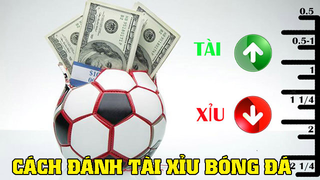 Cách chơi tài xỉu bóng đá