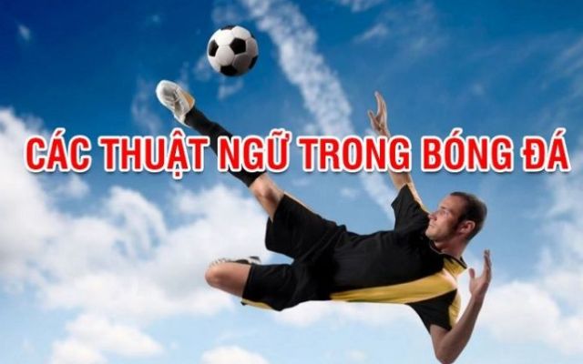 Hiểu rõ về các thuật ngữ là điều vô cùng quan trọng